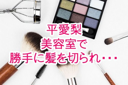 あなたが現在見ているのは 平愛梨が美容室で勝手に髪を切られ・・・
