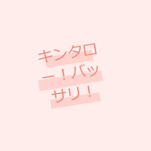 あなたが現在見ているのは キンタロー。長くのびた髪をバッサリ上戸彩風にカット!?